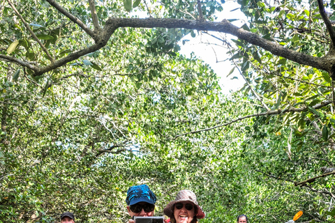 Bohol: SUSTAINABLE Mangrove Tunnels & Firefly Kayaking trail