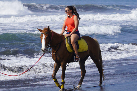 Bali: Sunrise Horse Riding Sanur Beach Experience 1 Hour Ride Include Hotel Transfer