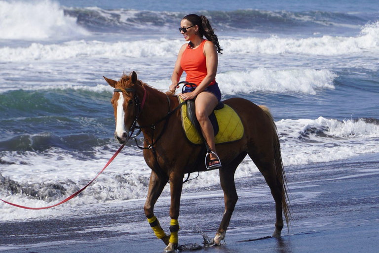 Bali: Sunrise Horse Riding Sanur Beach Experience 1 Hour Ride Include Hotel Transfer