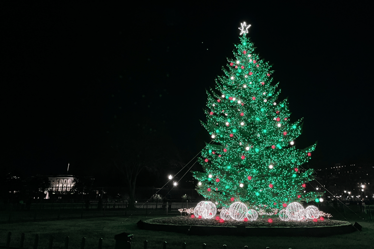 Washington, DC: Busstur med julgranar och julbelysningWashington, D.C.: Busstur med julbelysning