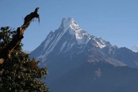 14-tägiger Annapurna Comfort Trek mit Rafting und DschungelsafariStandard Option