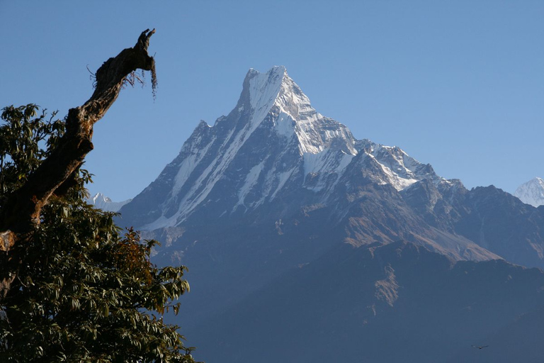 14-tägiger Annapurna Comfort Trek mit Rafting und DschungelsafariStandard Option