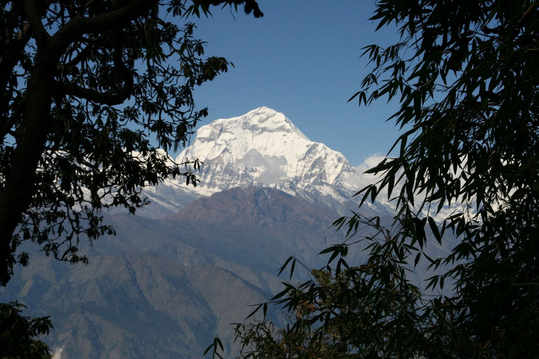 14-tägiger Annapurna Comfort Trek mit Rafting und DschungelsafariStandard Option