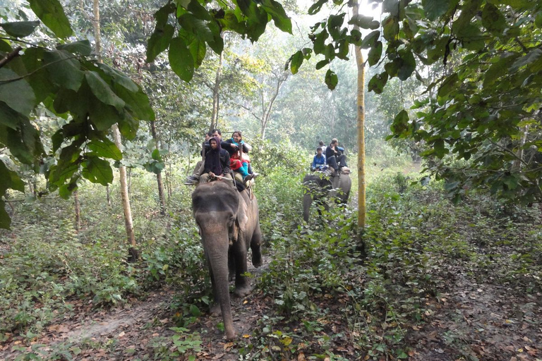 14-tägiger Annapurna Comfort Trek mit Rafting und DschungelsafariStandard Option