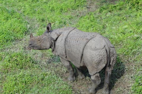 14-tägiger Annapurna Comfort Trek mit Rafting und DschungelsafariStandard Option