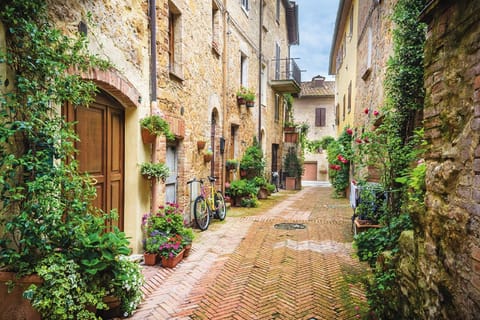 From Siena: Val D'Orcia Wine Tour