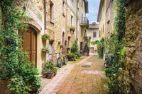 De Siena, Montepulciano et Pienza Wine Tour - Housity