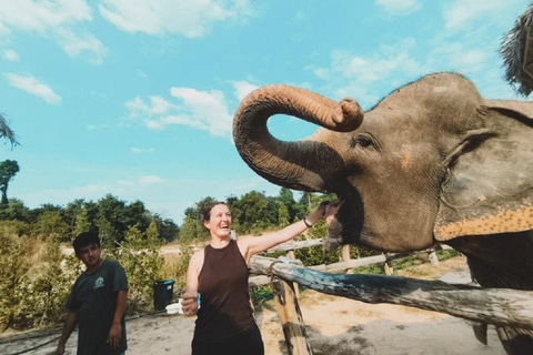 Excursão ao Santuário de Elefantes do Camboja e ao Templo de Banteay Srey