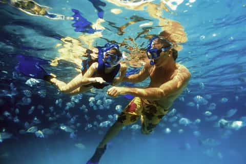 Cancun/Riviera Maya: Tulum Guided Tour & Xel-Ha Park Entry