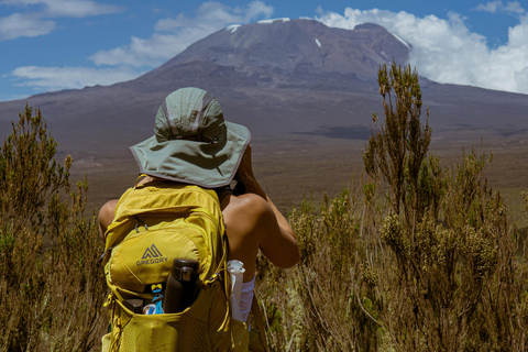 Mount Kilimanjaro: 7 Days Hike Lemosho Route Private Kilimanjaro Climbing 7 Days Lemosho Route