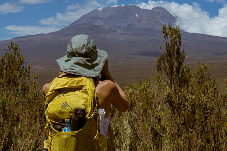 Mount Kilimanjaro: 7 Days Hike Lemosho Route Private Kilimanjaro Climbing 7 Days Lemosho Route
