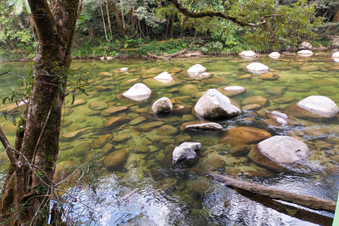 Cairns: Port Douglas, Winery, and Mossman Gorge Tour