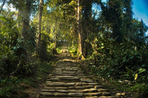 Minca Jungle Trek: Rivers, Tayrona Trails & Cacao Forest