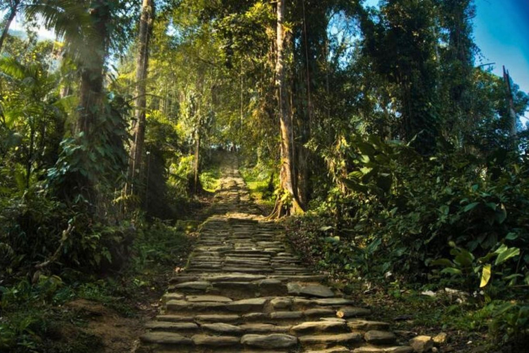 Minca Jungle Trek: Rivers, Tayrona Trails & Cacao Forest
