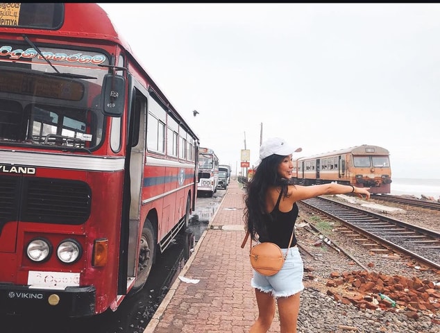 Kandy To Colombo Transfer With Tea Factory & Train Ride