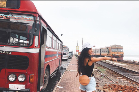 Kandy To Colombo Transfer With Tea Factory & Train Ride