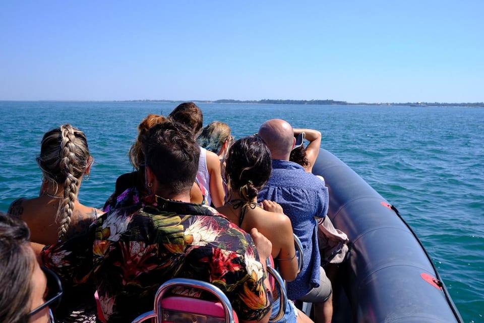 Setúbal : Tour En Bateau Pour L'observation Des Dauphins | GetYourGuide