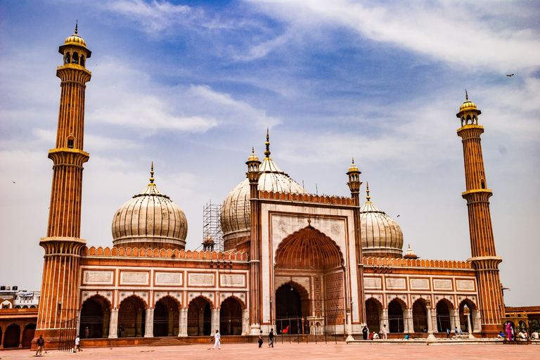 Delhi: Old and New Delhi Private Sightseeing TourTour with Transportation, Driver and Tour Guide