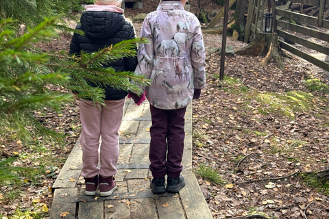 زيارة مزرعة نوكسيو للرنة – تجربة طبيعية خاصة