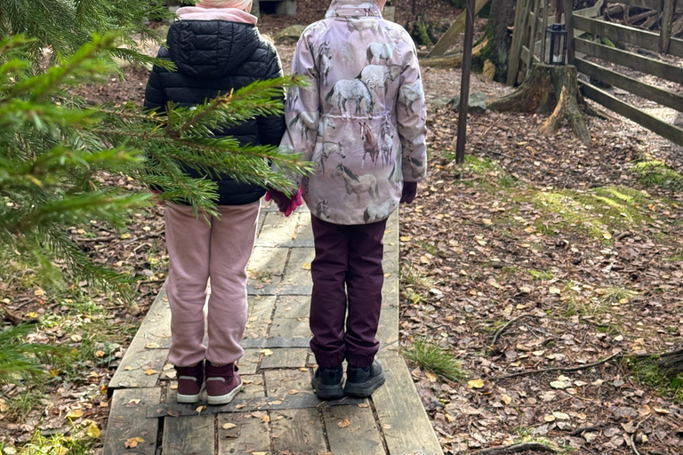 زيارة مزرعة نوكسيو للرنة – تجربة طبيعية خاصة