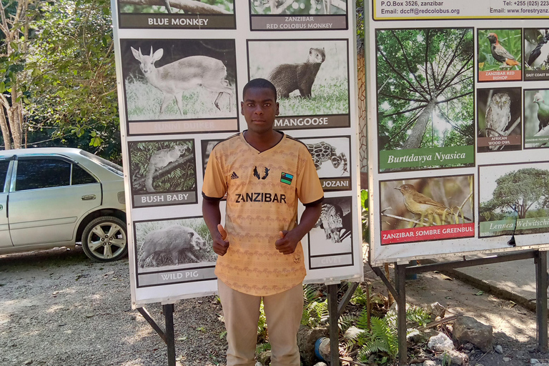 Stone town, ferme aux épices et forêt de Jozani