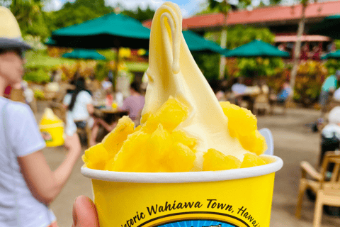 Oahu: The Ultimate Private Circle Island Tour 5-7 Guests