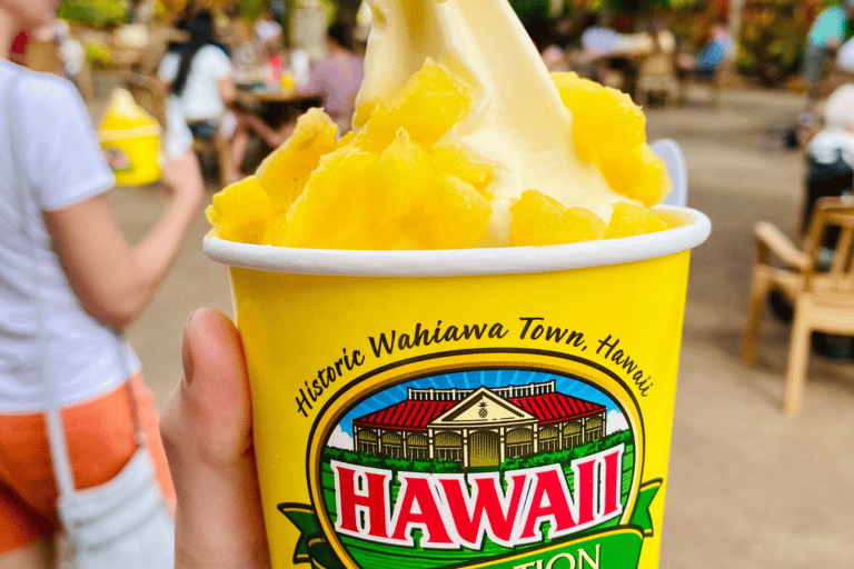 Oahu: The Ultimate Private Circle Island Tour 5-7 Guests