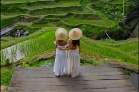 Bali: Foresta delle scimmie, terrazza del riso e tour delle cascate