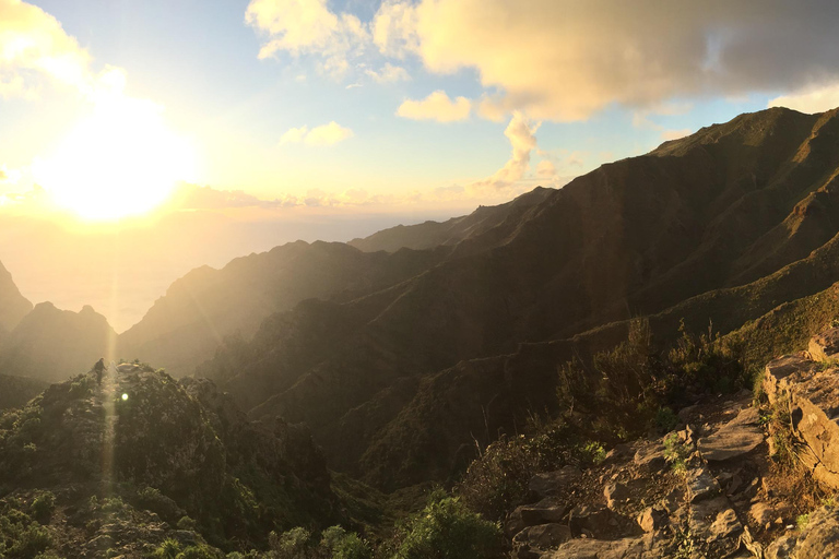 Tenerife: Teide, Icod, Garachico, and Masca Full-Day Tour