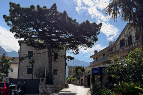 Explore Kotor: Old Town Walk & Bay Coast Bike Tour