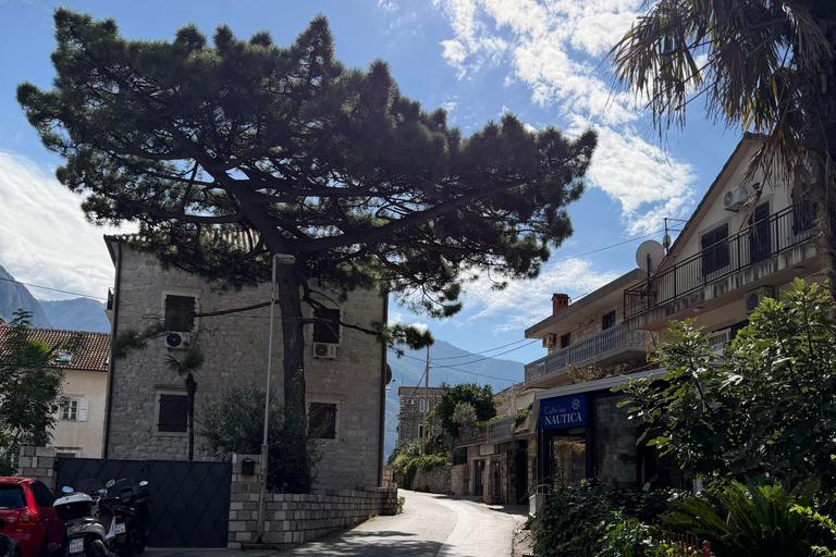 Explore Kotor: Old Town Walk & Bay Coast Bike Tour