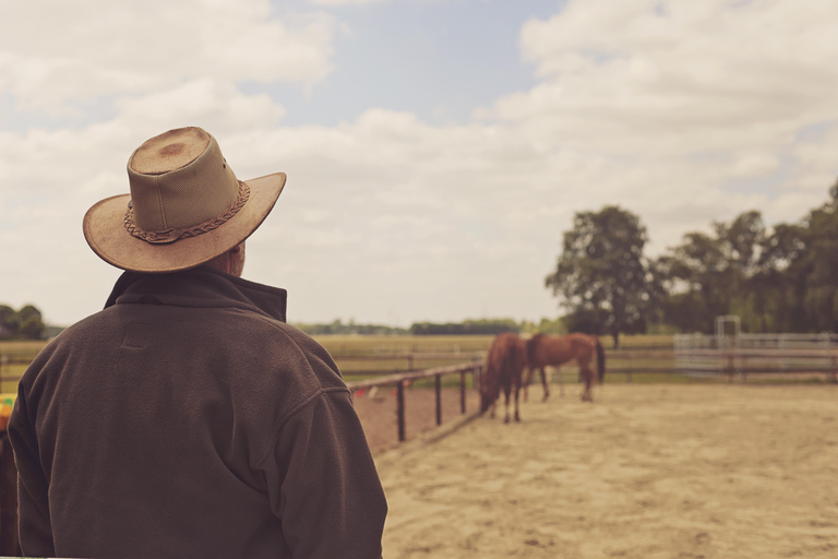 From Oslo: Forest and Lakeside Horse Riding Experience 2-Hour Forest and Lakeside Horse Riding Experience