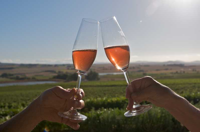 Ciudad del Cabo: Tour de día completo por Winelands con catas de vino y comida