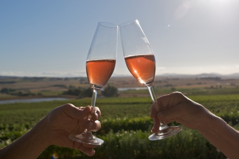 Cape Town: Całodniowa degustacja wina