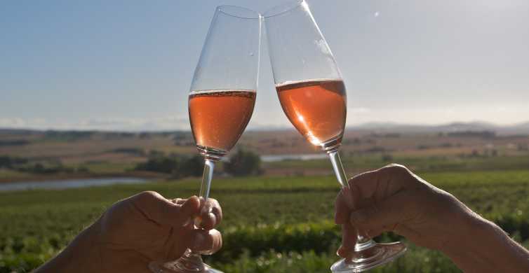 Cape Town Full Day Winelands Tour with Wine Tastings & Food