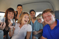 Città del Capo, tour delle vini per l'intera giornata con degustazioni di vini e cibo - Housity