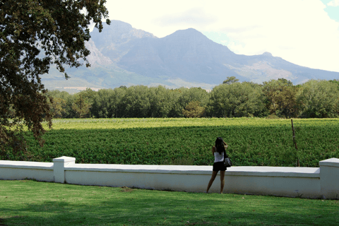 Cape Town: Full-Day Winelands Tour with Wine Tastings & Food