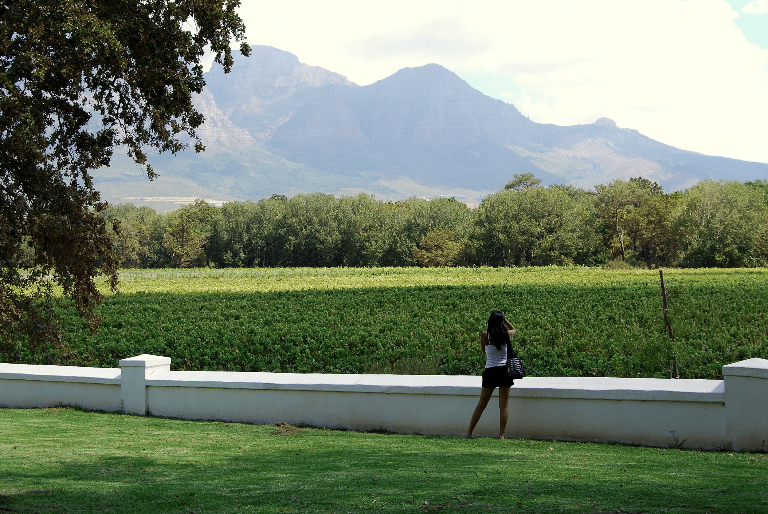 Kapstadt: Ganztagestour durch die Winelands mit Weinverkostungen und Essen
