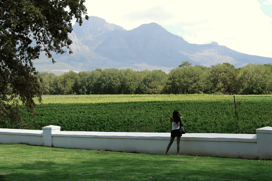 Kapstadt: Ganztagestour durch die Winelands mit Weinverkostungen und Essen. Foto: GetYourGuide