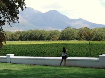 Full-Day Winelands Tour with Tastings & Lunch