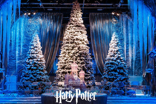 London: Fully-Guided Making of Harry Potter Tour