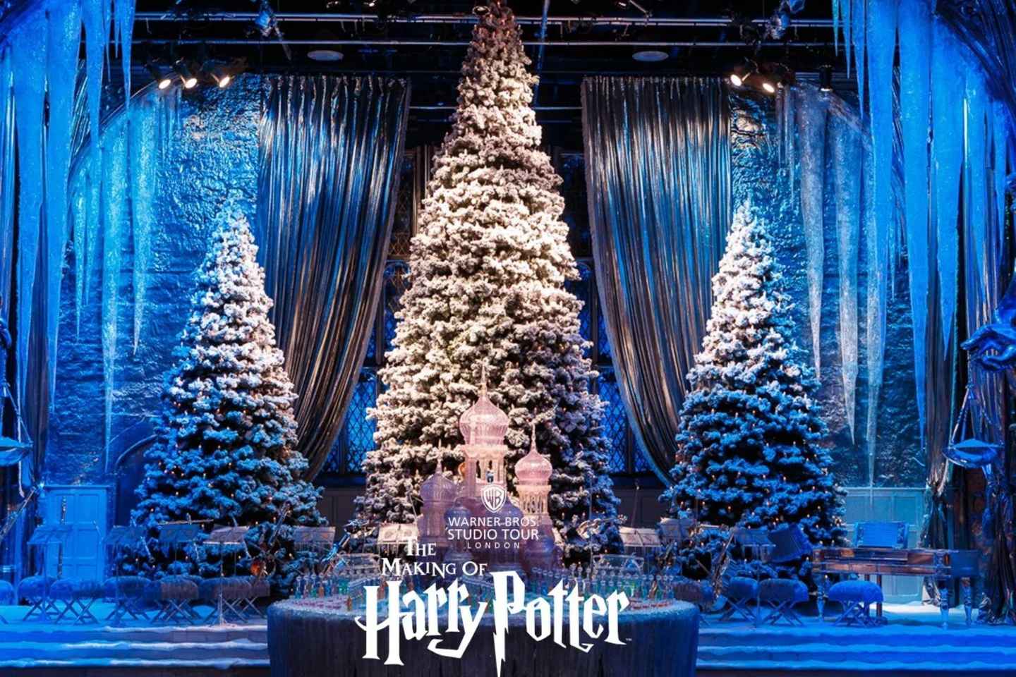 London: Fully-Guided Making of Harry Potter Tour