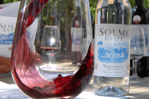 Cape Town: Full-Day Winelands Tour with Wine Tastings & Food