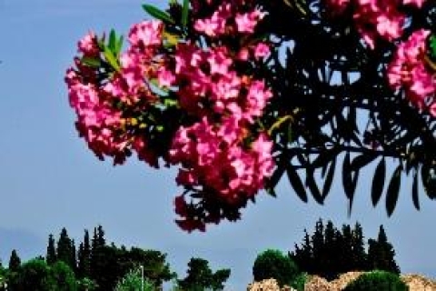Ab Izmir: Private Tagestour nach Pamukkale (Hierapolis)