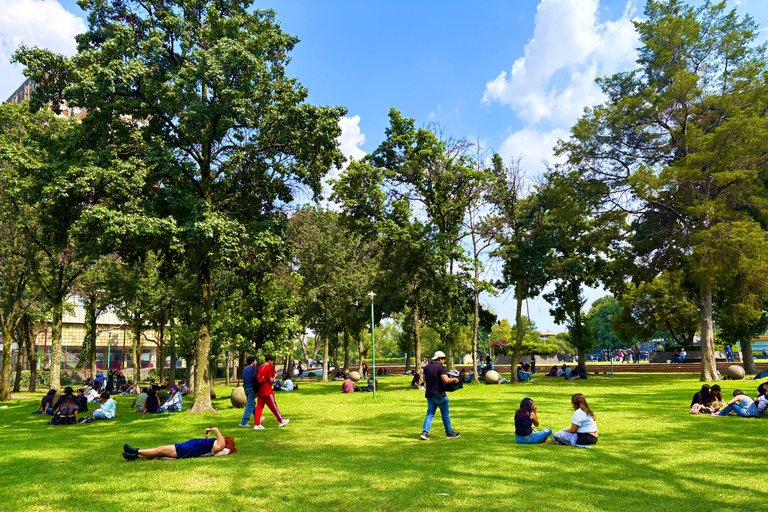 Cidade do México: Excursão a pé pelo campus da UNAM com guia