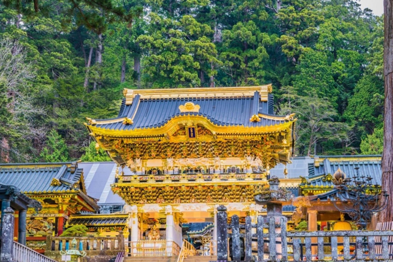 Tokyo: City Full-Day Private Customizable Best Places Tour