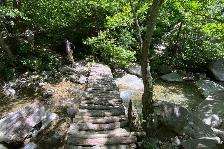 Tirana: Dajti Cable Car, Shengjergj Waterfall & Hike Tour