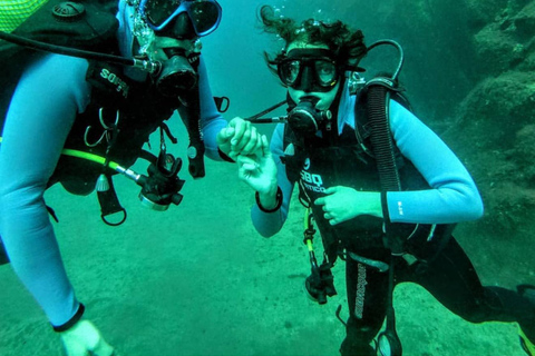 Madeira: Full-Day Dive Pack