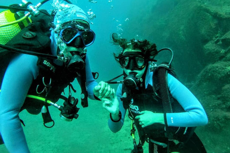 Madeira: Full-Day Dive Pack