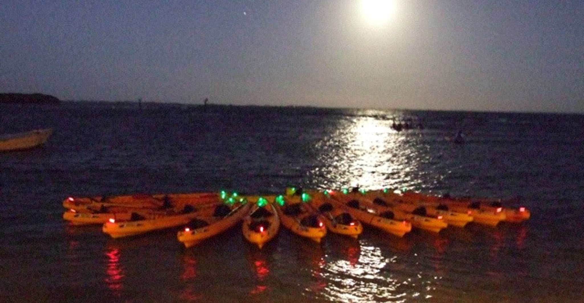 Fajardo, Bioluminescent Lagoon Kayak or Full Moon Kayak Tour - Housity